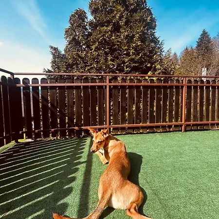 Willa Karolinka Stroza - Pet Friendly Myślenice Exterior foto