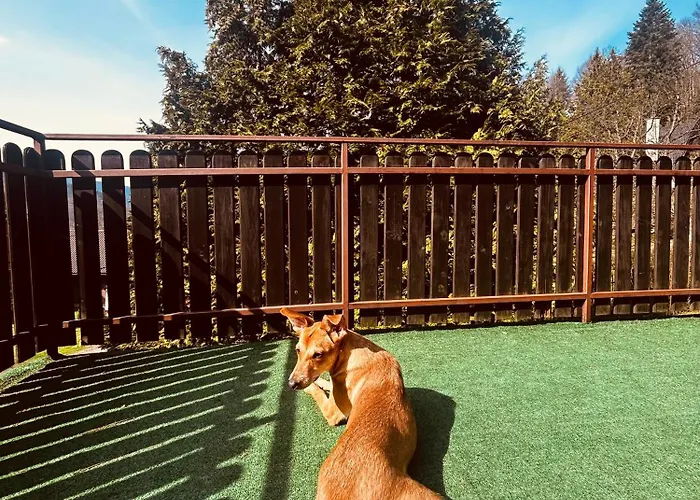Willa Karolinka Stroza - Pet Friendly