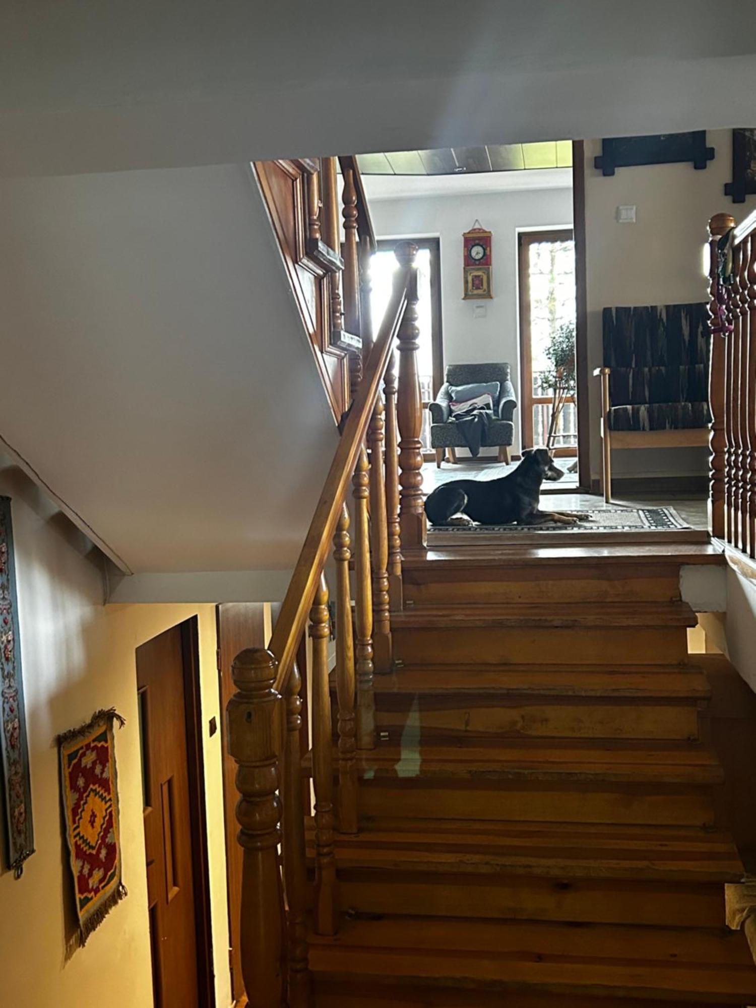Willa Karolinka Stroza - Pet Friendly Ferienhaus