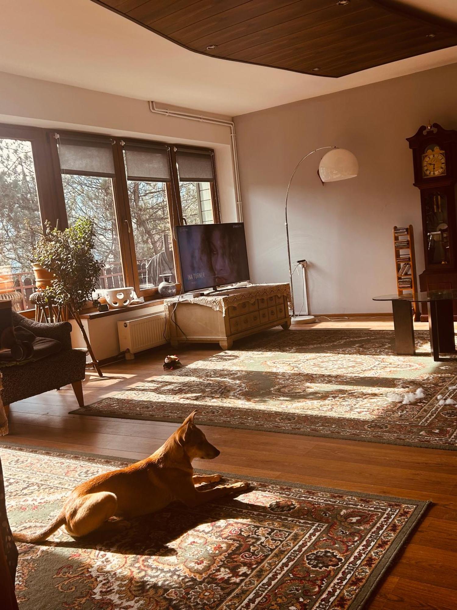 Ferienhaus Willa Karolinka Stroza - Pet Friendly *