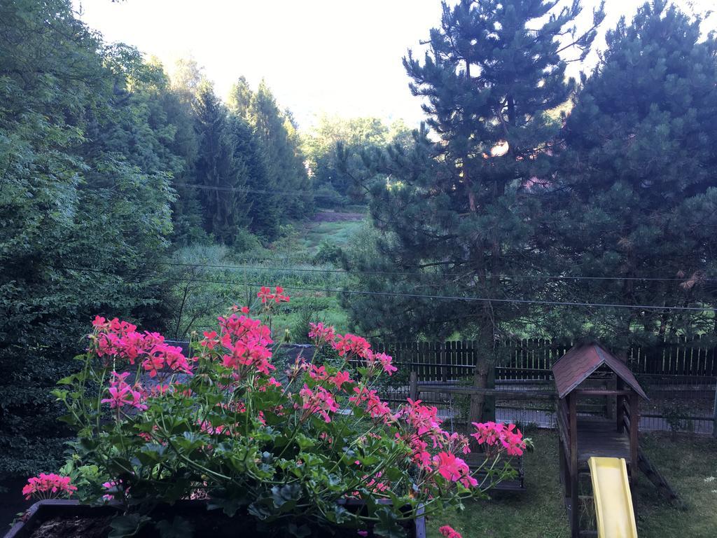Ferienhaus Willa Karolinka Stroza - Pet Friendly *