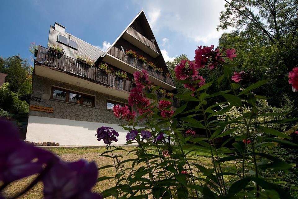 Ferienhaus Willa Karolinka Stroza - Pet Friendly *